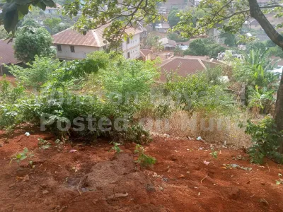 One and half plot of land