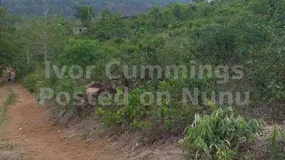 2 acre plot of land for sale at waterloo
