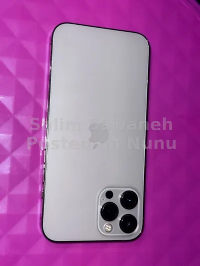 iPhone 12 Pro Max