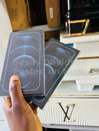 iPhone 12 Pro Max 256GB