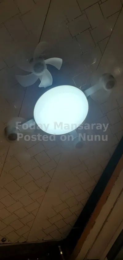 bulbs with fan