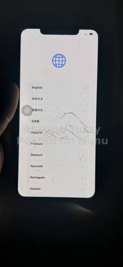 iphone x ready description first