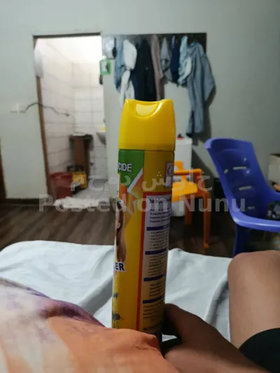 Kungfu master Insect killer