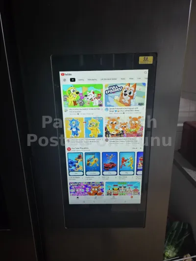 Samsung Fridge