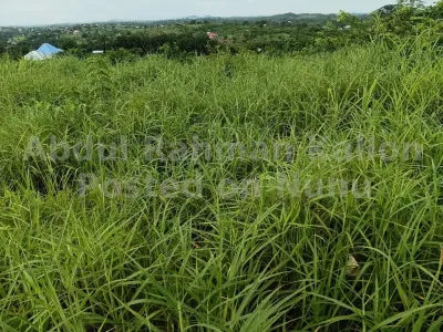 Land for sale