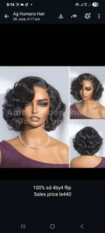 Charles luxurious and quality human hair wigs