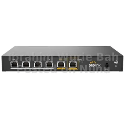 Peplink Router