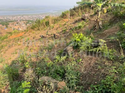 One town lot of Land, Calabar town