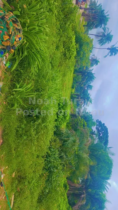 one and half plot of Land situated at Lungi 3 minutes to the New Airpo