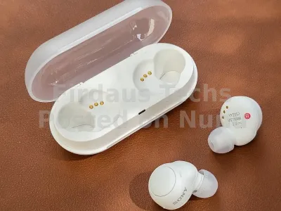 Original Sony Earbuds