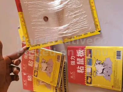 Trap/Glue book